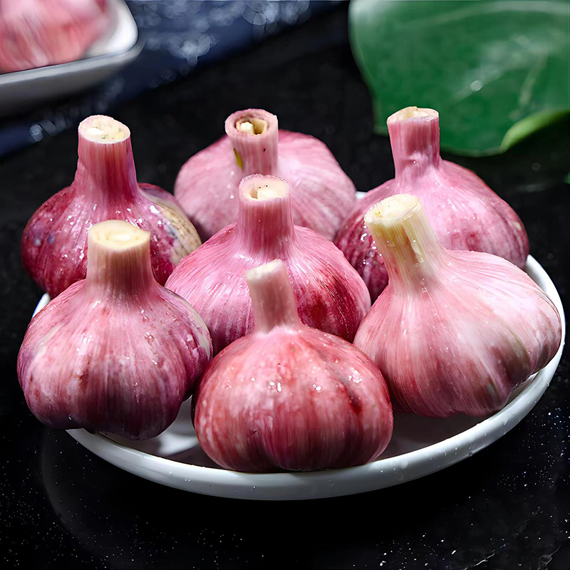 Longnan  garlic